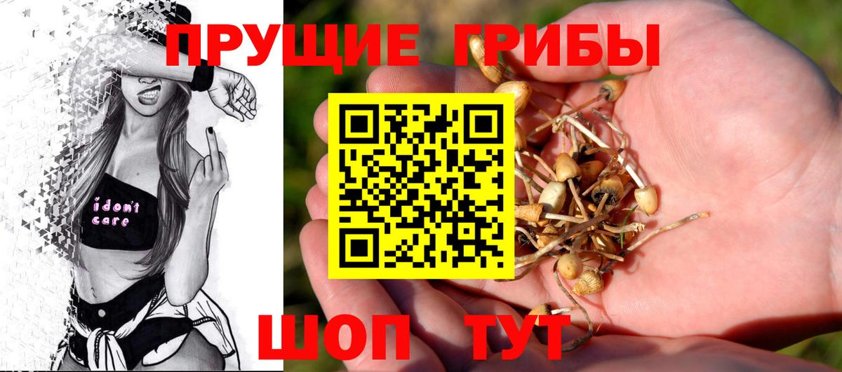 Галлюциногенные грибы прущие грибы  Вход с VPN  Асино  Псилоцибиновые грибы MAGIC MUSHROOMS 