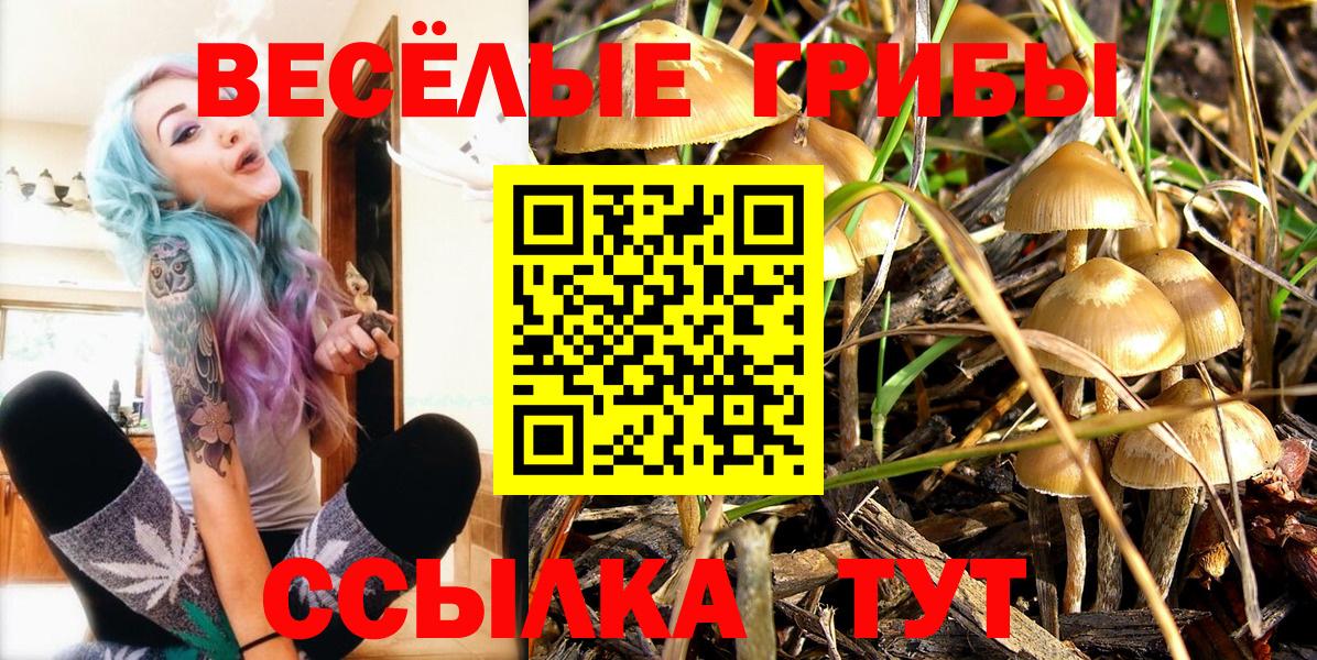 Псилоцибиновые грибы MAGIC MUSHROOMS Асино